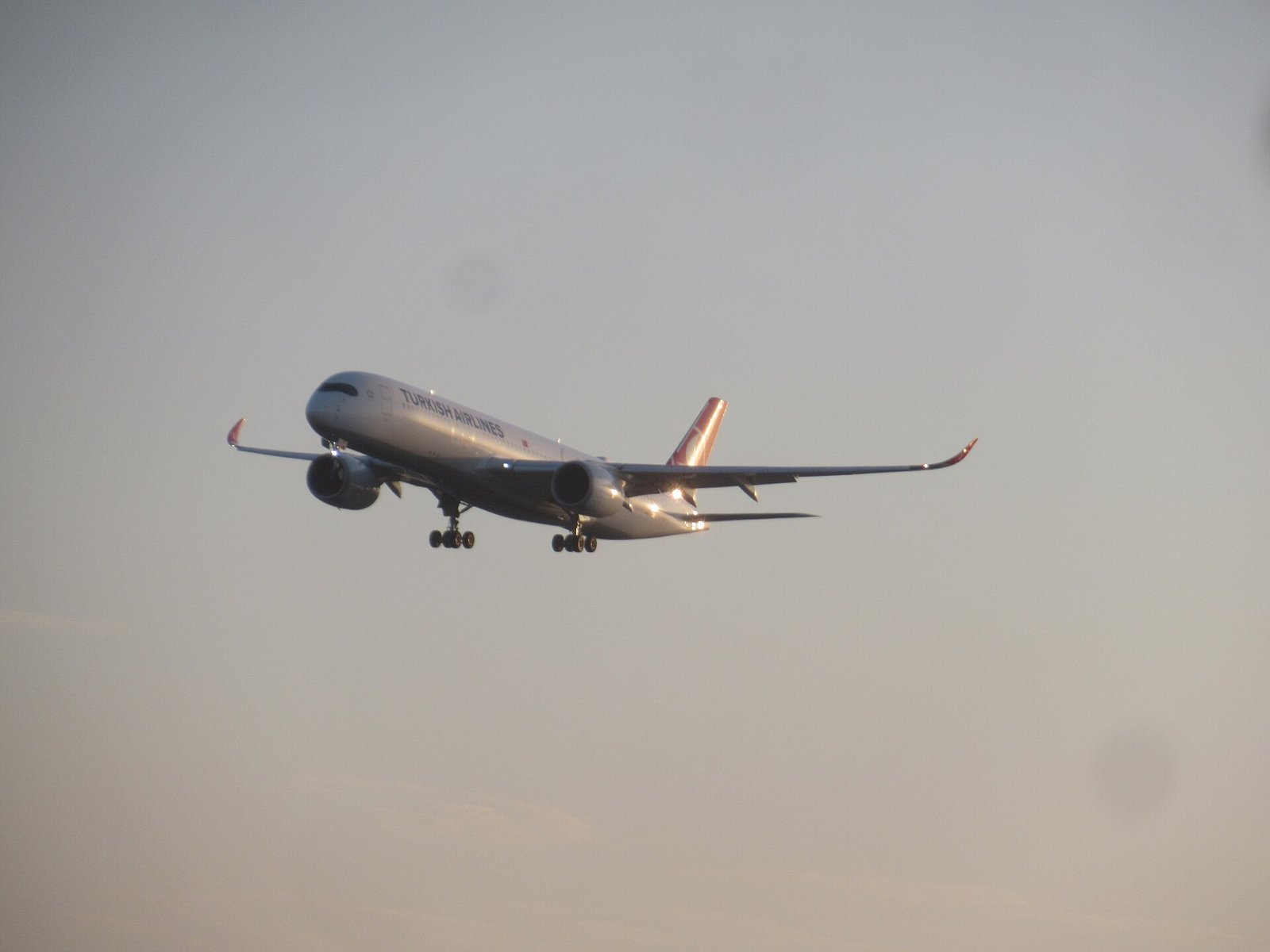Turkish Airlines aircraft in flight